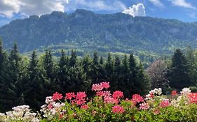 Ferienwohnung mit Seeblick, Unterach am Attersse