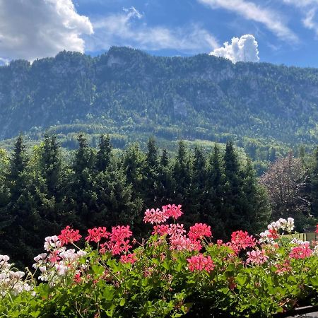 Ferienwohnung mit Seeblick, Unterach am Attersse Unterach am Attersee Exterior foto